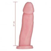 !     **  (INDISPONÍVEL)  PRÓTESE MACIÇA CYBER COM VÉRTEBRA 18X4,5 CM HOT FLOWERS  HP 240 VTN H/F *
