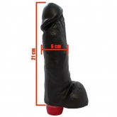 !                                                      **  (INDISPONÍVEL)  PRÓTESE ROCCO COM VIBRO *
