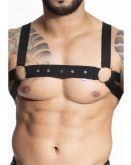 !                             **  (INDISPONÍVEL)  HARNESS ELÁSTICO PRETO COM ILHOS E ARGOLA DE METAL