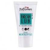 !                                   ST**  LUBRIFICANTE  FRESH LUB MENTALYPTUS GEL BEIJAVEL 25G H/F *