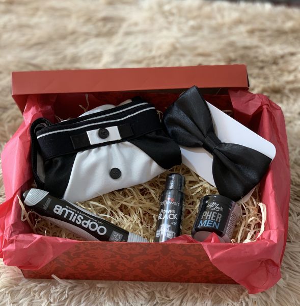 KIT NAMORADO GOGOBOY