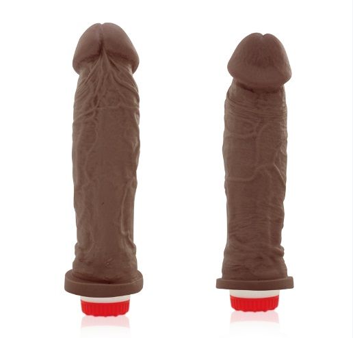(INDISPONÍVEL )** PRÓTESE REALÍSTICA 20X4,5 CM COM VIBRADOR