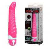 (INDISPONÍVEL) Vibro de 10 Velocidades